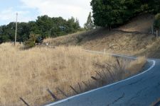 IMG_5474_08-10-18_10-07-44.jpg
