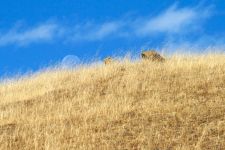 IMG_5476_08-10-18_10-17-56.jpg