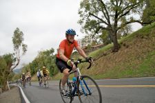 IMG_7104_08-11-27_10-42-27.jpg