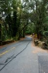 2009-10-10_at_09-24-43.jpg