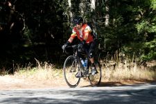 2009-10-10_at_10-59-56.jpg