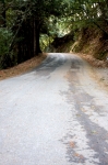 09-lkhc-03-tunitas-1.jpg