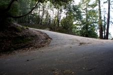09-lkhc-03-tunitas-3.jpg