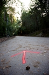09-lkhc-03-tunitas-5.jpg