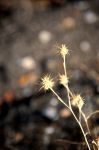 2009-10-24_at_09-45-23.jpg
