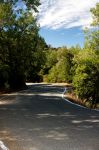 2009-10-24_at_10-51-53.jpg