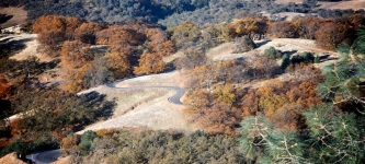 2009-11-26_at_09-26-46.jpg