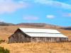 Barn