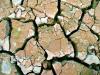 Lake Bed