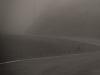 Foggy Day
